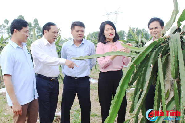 Văn phòng HĐND tỉnh Hà Tĩnh hỗ trợ xã Ngọc Sơn xây dựng nông thôn mới