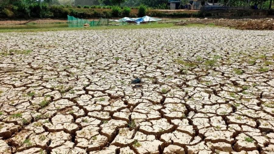 Triển khai kế hoạch chống sa mạc hóa đến năm 2050 