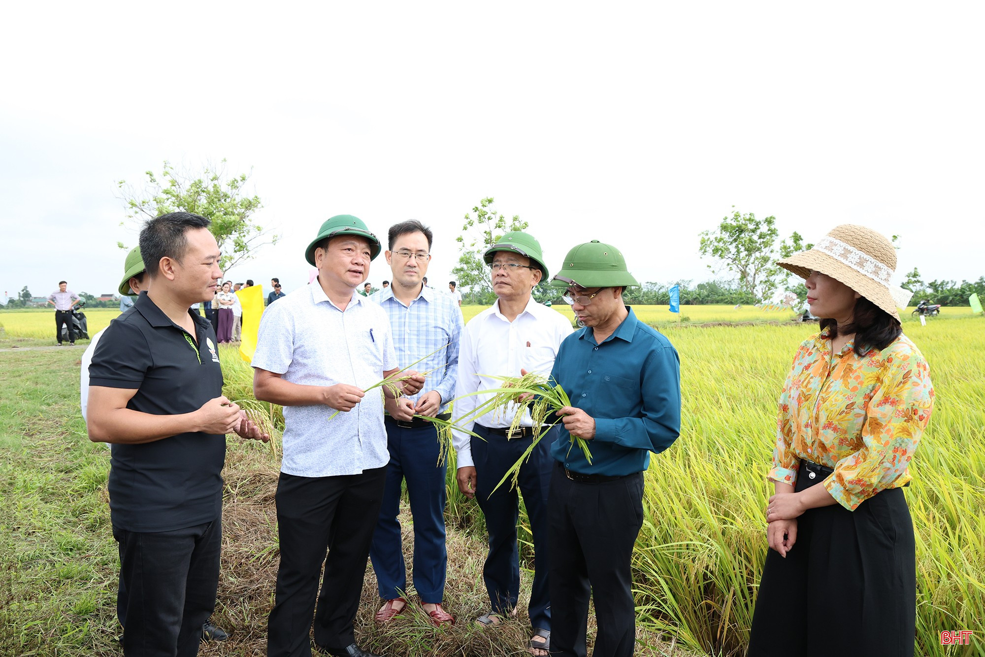 Vụ lúa xuân ở Hà Tĩnh thắng lợi khẳng định hiệu quả tái cơ cấu nông nghiệp