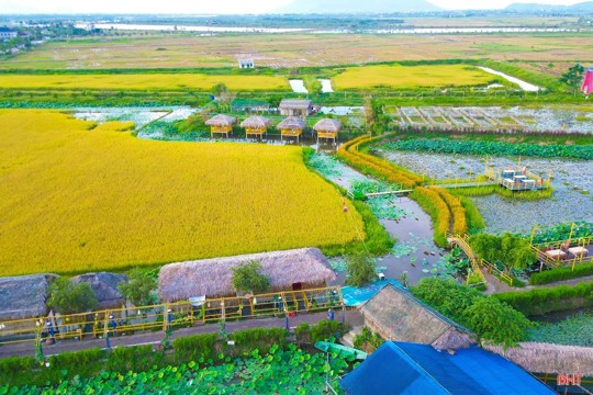 Phường Trần Phú phát triển nông nghiệp đô thị theo hướng công nghệ cao
