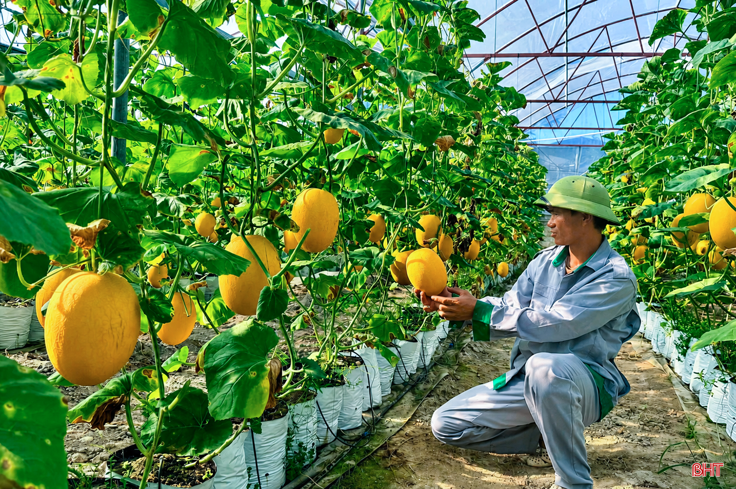 Ứng dụng khoa học - công nghệ tạo đột phá trong xây dựng nông thôn mới