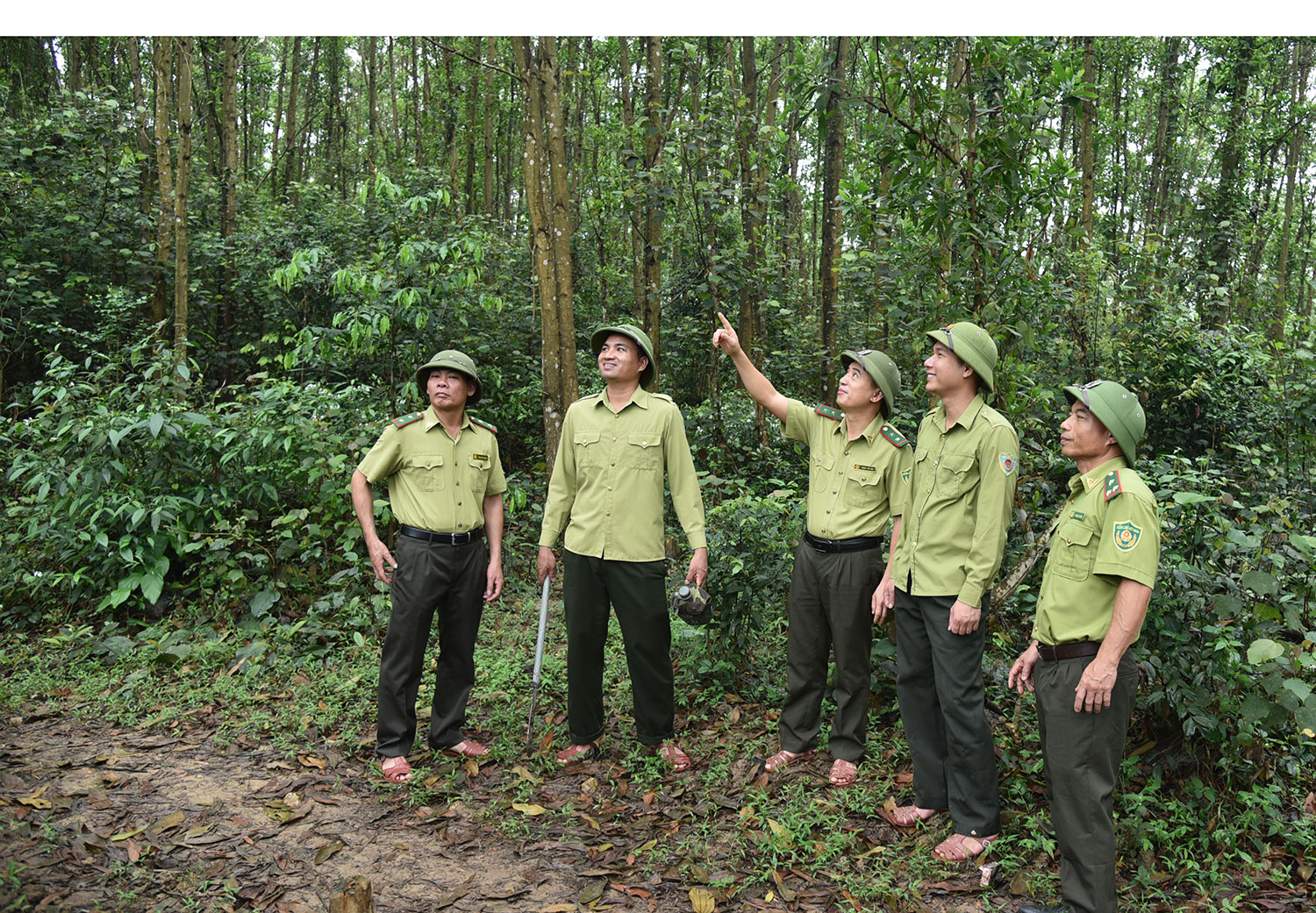 Hạt Kiểm lâm Hoành Sơn thông báo điều chuyển gỗ tịch thu phục vụ xây dựng công trình công cộng