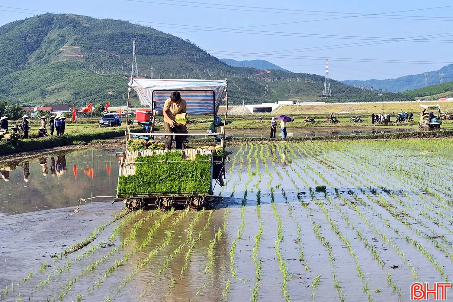 Người dân phấn khởi tham quan mô hình cấy lúa bằng máy trên cánh đồng thâm canh lúa cải tiến (SRI).