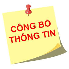 Báo cáo tài chính năm 2024
