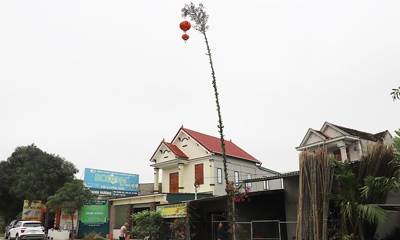 Hết sức cẩn trọng trong dựng cây Nêu, trang trí đèn điện đón Tết!