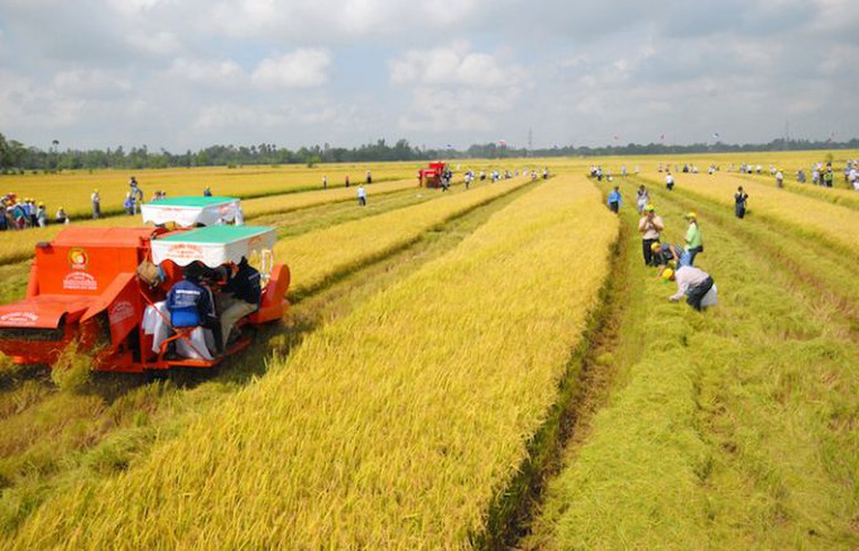 Các trường hợp được miễn thuế sử dụng đất nông nghiệp đến hết ngày 31/12/2030