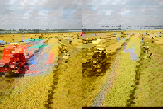 Các trường hợp được miễn thuế sử dụng đất nông nghiệp đến hết ngày 31/12/2030 