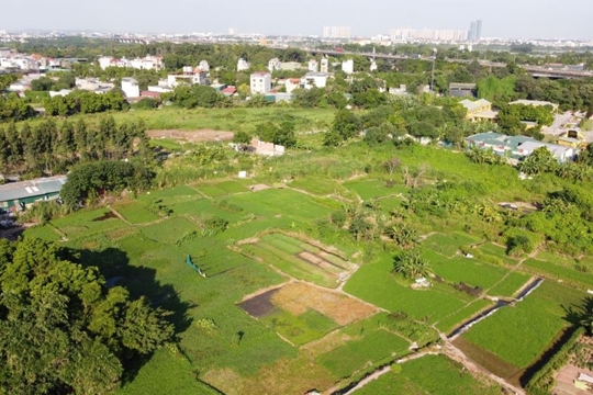 Hướng dẫn thực hiện công bố công khai vi phạm và các trường hợp đã khắc phục vi phạm pháp luật đất đai trên địa bàn Hà Tĩnh 