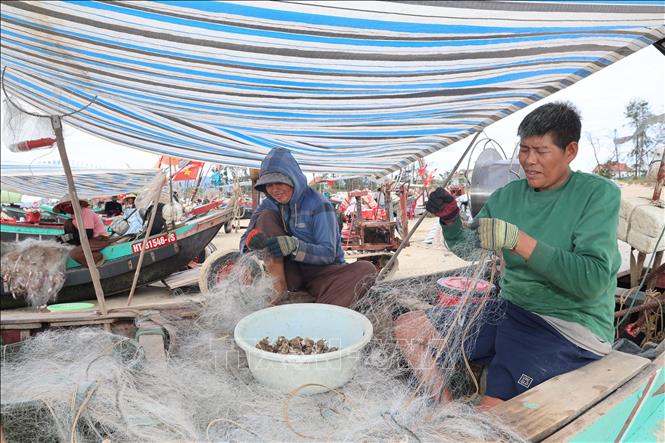 Khắc phục 'thẻ vàng' IUU: 'Lá chắn' bảo vệ ngư trường từ cơ sở