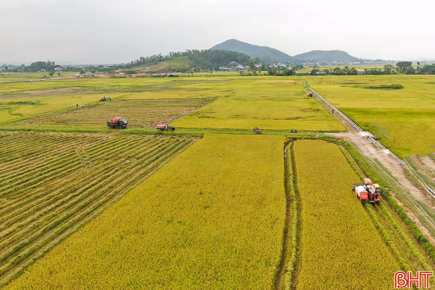 bqbht_br_dji-0616.jpg