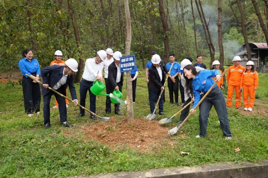 Công ty Điện lực Hà Tĩnh trồng cây xanh tại Khu di tích Ngã ba Đồng Lộc 