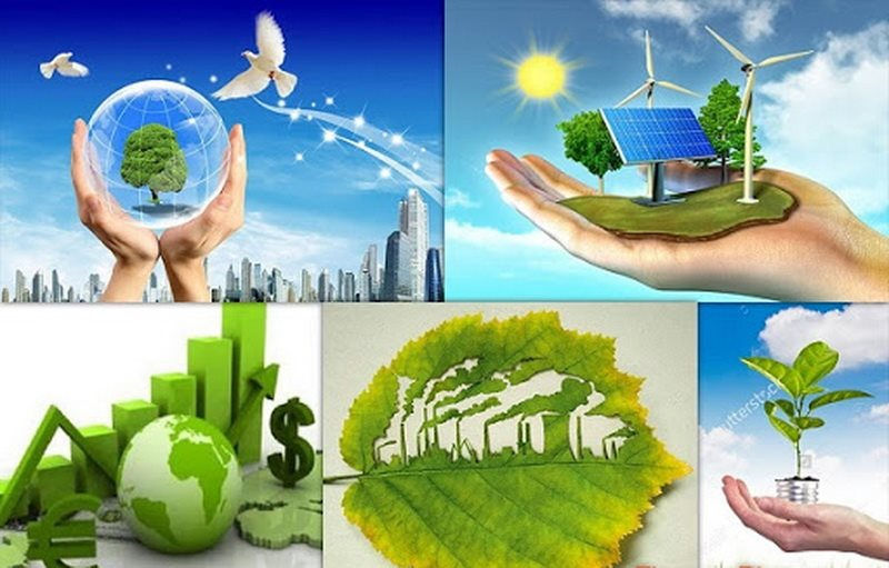 Nâng cao hiệu lực, hiệu quả thực hiện chính sách, pháp luật về bảo vệ môi trường trên địa bàn tỉnh Hà Tĩnh