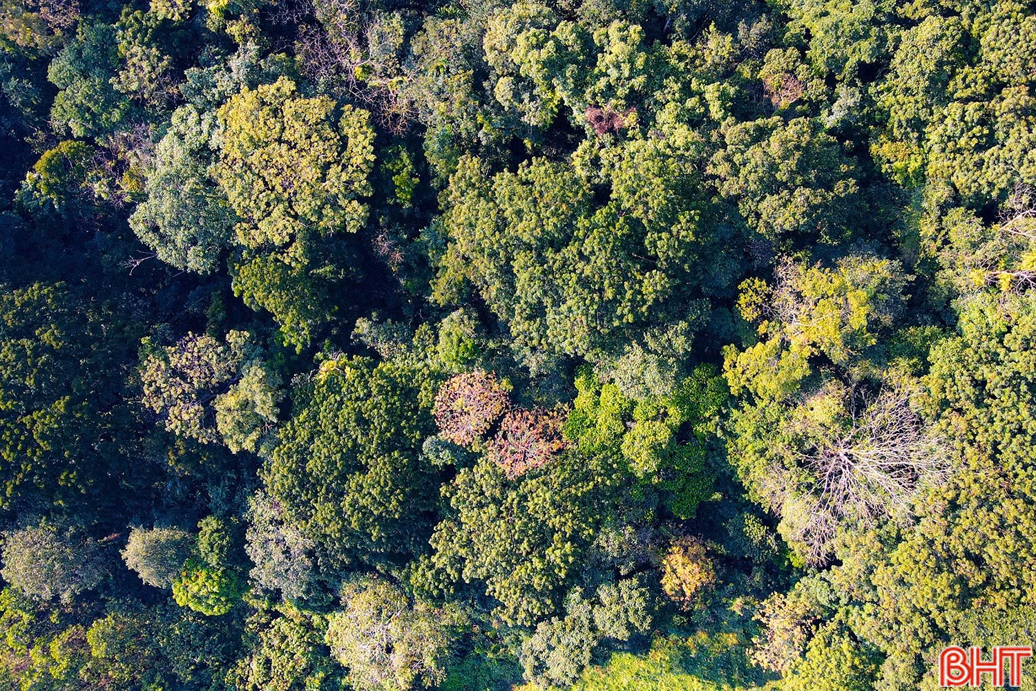 bqbht_br_a1dji-fly-20260114-091002-298-1768356614838-photo.jpg