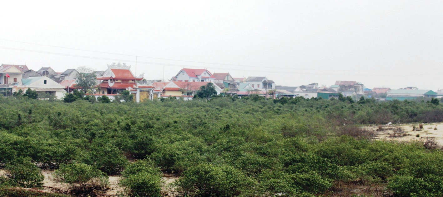 Phê duyệt giá đất cụ thể Cụm công nghiệp Cẩm Nhượng, Hà Tĩnh