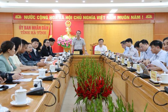 Hợp tác đầu tư phát triển chuỗi sản xuất, chế biến dứa và cây ăn quả