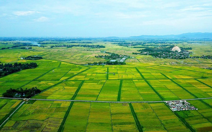 Hà Tĩnh triển khai kế hoạch thống kê đất đai trên địa bàn tỉnh