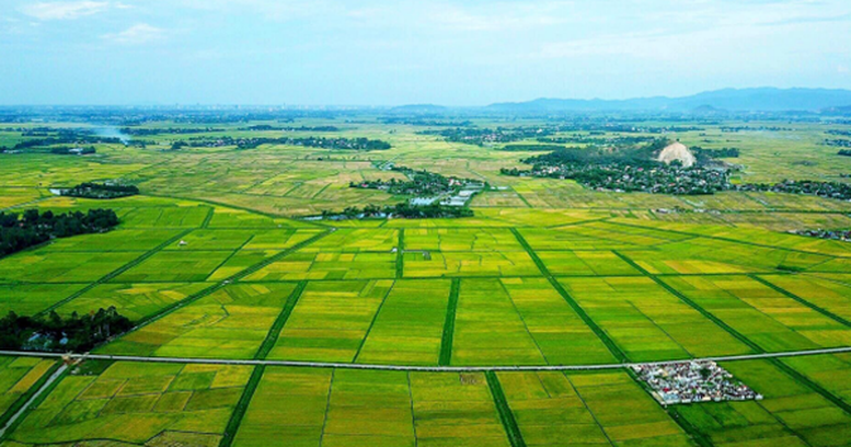 Công khai kết quả khắc phục vi phạm pháp luật đất đai tại Cụm công nghiệp Phù Việt