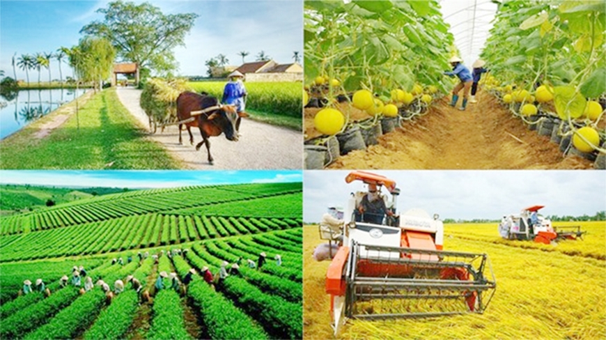 Hà Tĩnh triển khai nhiều giải pháp thúc đẩy sản xuất, kinh doanh nông sản, thực phẩm an toàn vì sức khỏe cộng đồng