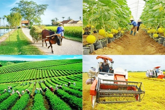 Hà Tĩnh triển khai nhiều giải pháp thúc đẩy sản xuất, kinh doanh nông sản, thực phẩm an toàn vì sức khỏe cộng đồng