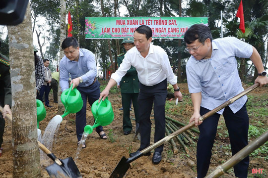 Lãnh đạo Hà Tĩnh phát động Tết trồng cây Xuân Bính Ngọ