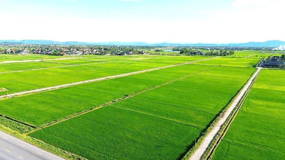 Hà Tĩnh ban hành Quyết định số 34/2026/QĐ-UBND: Đẩy mạnh phân cấp, ủy quyền trong lĩnh vực đất đai, nâng cao hiệu quả quản lý nhà nước