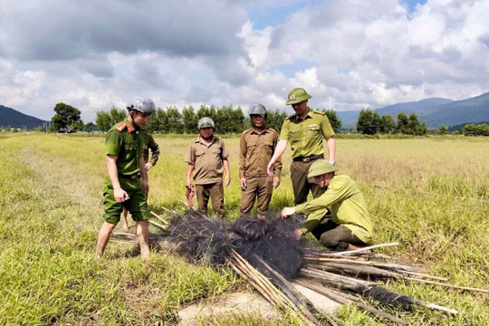 Xã Hồng Lộc tháo dỡ hơn 2.000m lưới dùng để bẫy bắt chim hoang dã