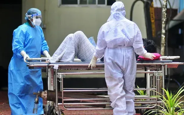 Ấn Độ thông báo tình hình các ca nhiễm virus Nipah