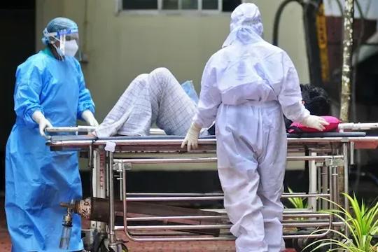 Ấn Độ thông báo tình hình các ca nhiễm virus Nipah