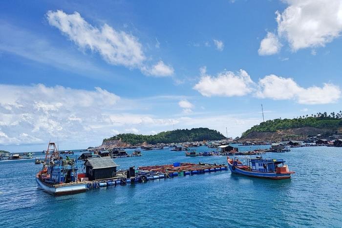 Phân quyền mạnh trong quản lý biển: Cục trưởng được ký giao khu vực biển, cấp phép nhận chìm