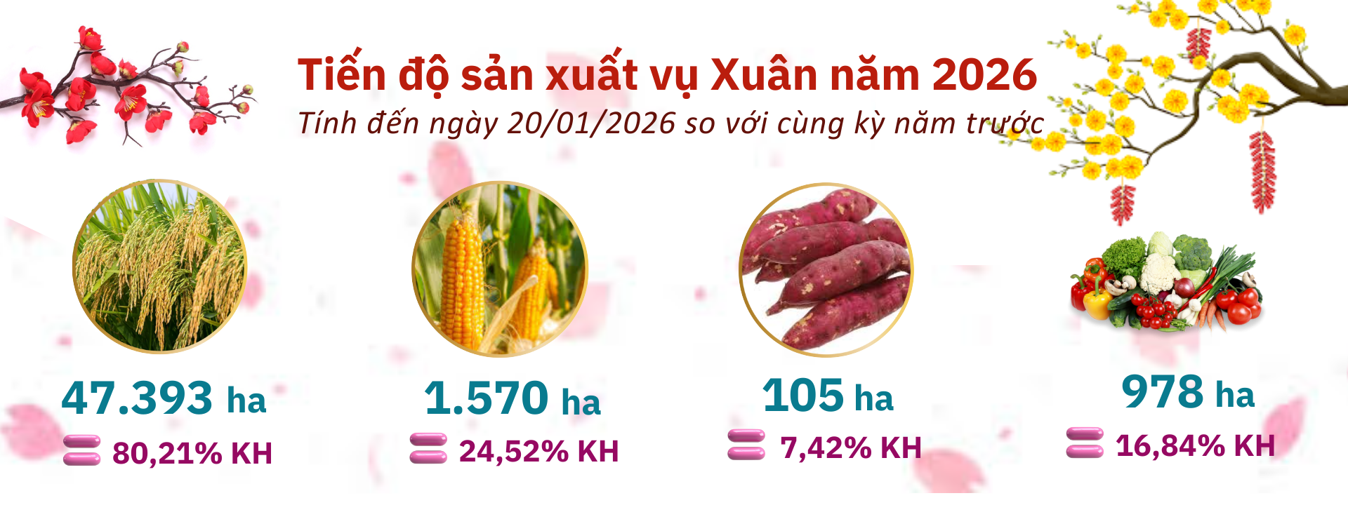 Tình hình kinh tế - xã hội tỉnh Hà Tĩnh tháng 01 năm 2026