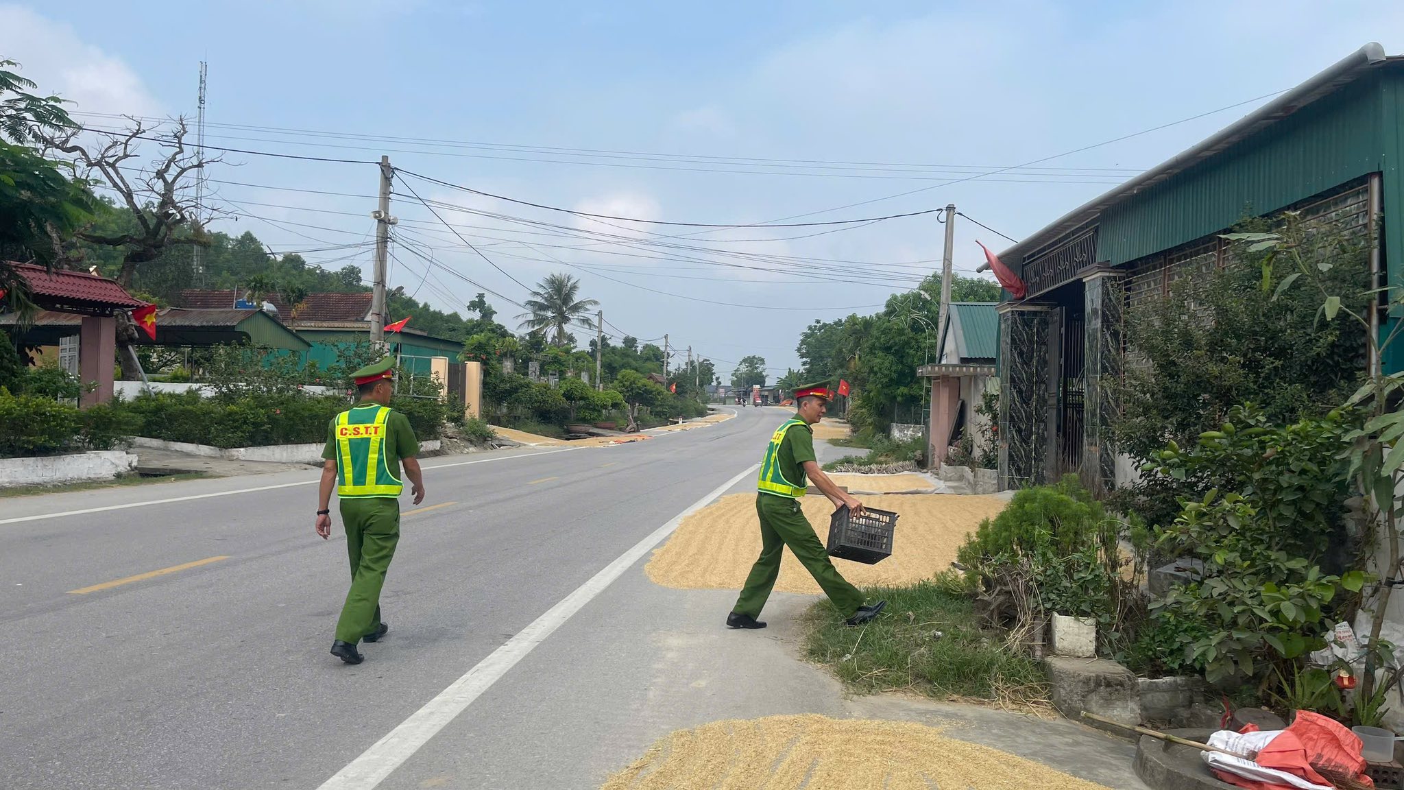Cảnh báo nguy cơ mất an toàn giao thông từ việc phơi nông sản trên đường