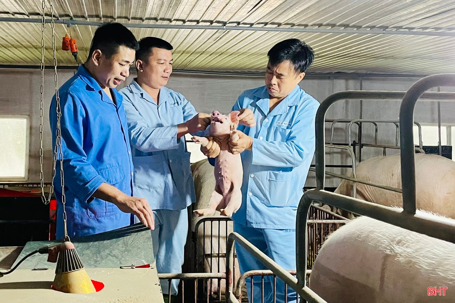 Nông nghiệp - chăn nuôi tích hợp là một trong 3 trụ cột đầu tư của Tổng Công ty Khoáng sản và Thương mại Hà Tĩnh - CTCP. bqbht_br_094.jpg