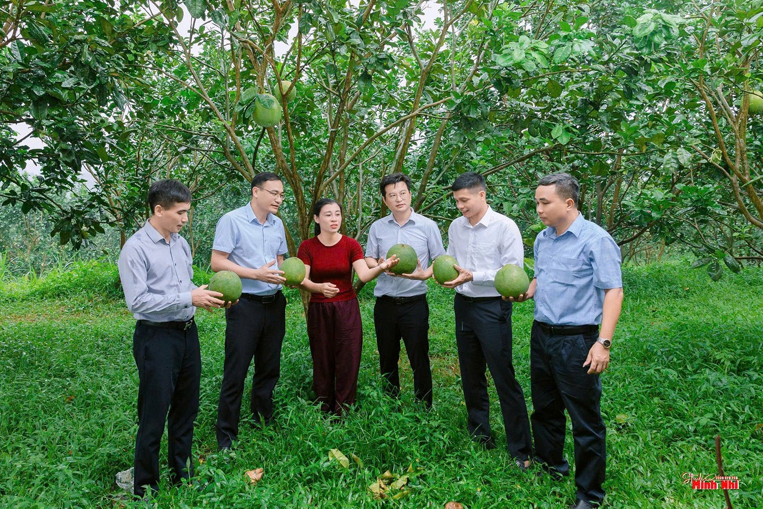 Chủ tịch Hội Nông dân tỉnh Nguyễn Đình Dũng thăm mô hình Vườn bưởi da xanh của Công ty TNHH BATO Việt Nam tại thôn Kim Thành, xã Sơn Tây. Chủ tịch Hội Nông dân tỉnh Nguyễn Đình Dũng thăm mô hình Vườn bưởi da xanh của Công ty TNHH BATO Việt Nam tại thôn Kim Thành, xã Sơn Tây.