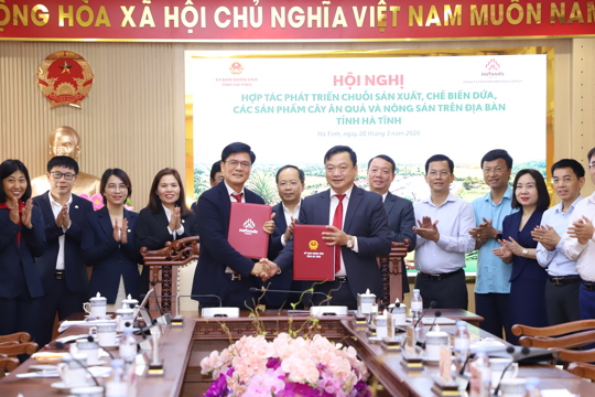 Nafoods Group hợp tác cùng Hà Tĩnh phát triển chuỗi giá trị dứa và nông sản chủ lực