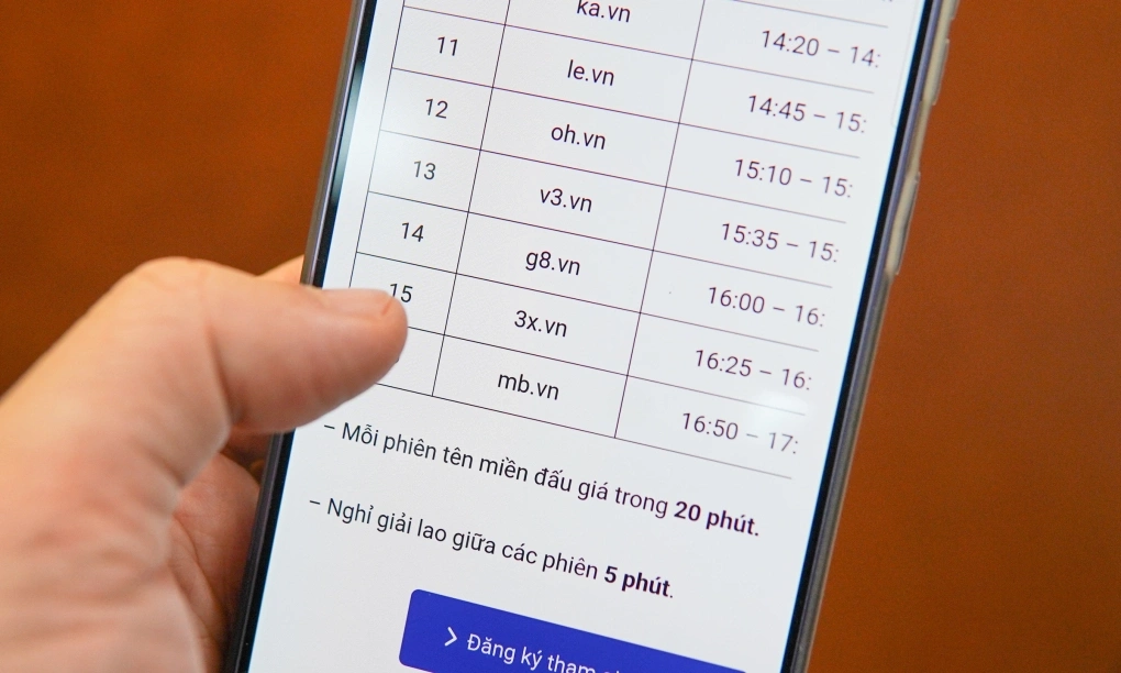 Sắp đấu giá 77 tên miền hiếm