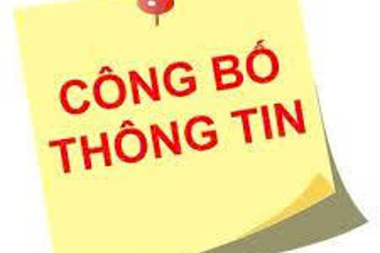 Báo cáo thực trạng quản trị và cơ cấu tổ chức của doanh nghiệp năm 2024 