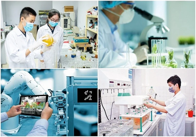 Hà Tĩnh tuyển chọn tổ chức thực hiện nhiệm vụ khoa học, công nghệ năm 2026