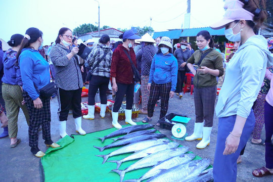 Rộn ràng “xông biển” đầu năm, ngư dân Hà Tĩnh kỳ vọng mùa khai thác thuận lợi 