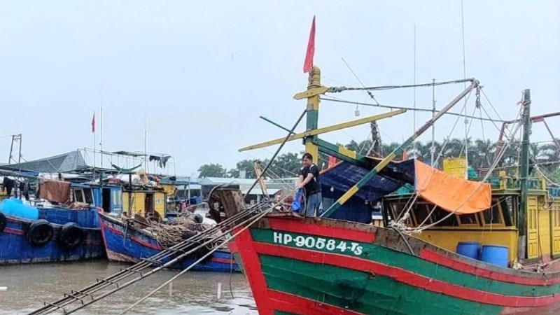 Hoàn thiện hành lang pháp lý ngành thủy sản: Nghị định mới siết quản lý, thúc đẩy phát triển bền vững