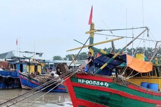 Hoàn thiện hành lang pháp lý ngành thủy sản: Nghị định mới siết quản lý, thúc đẩy phát triển bền vững