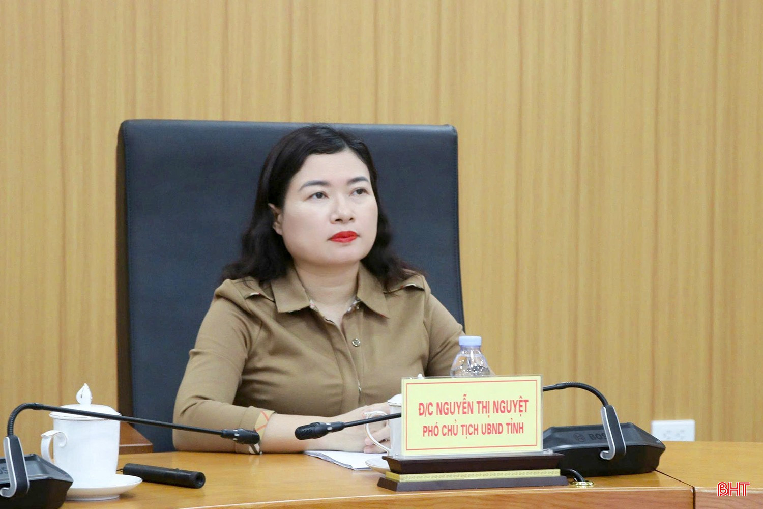 Đồng chí Nguyễn Thị Nguyệt – Phó Chủ tịch UBND tỉnh điều hành điểm cầu Hà Tĩnh. bqbht_br_14-5305.jpg