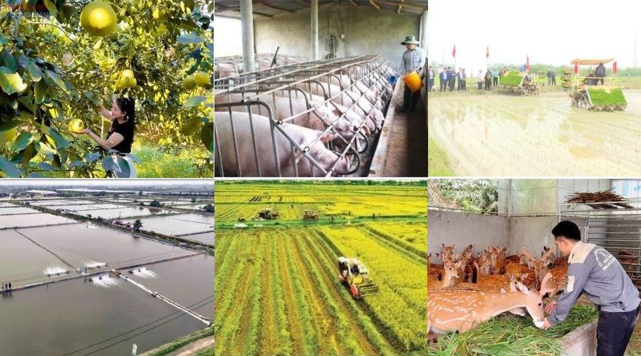 Tăng cường bồi dưỡng, tập huấn thực hiện các chương trình mục tiêu quốc gia