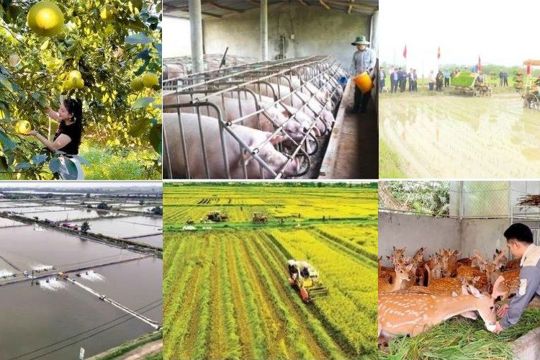 Tăng cường bồi dưỡng, tập huấn thực hiện các chương trình mục tiêu quốc gia