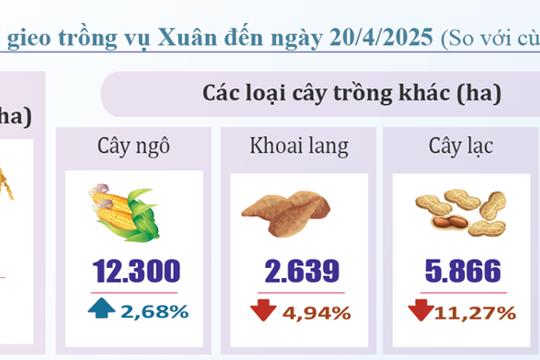 Tình hình KTXH tháng 4 và 4 tháng đầu năm 2025 tỉnh Hà Tĩnh
