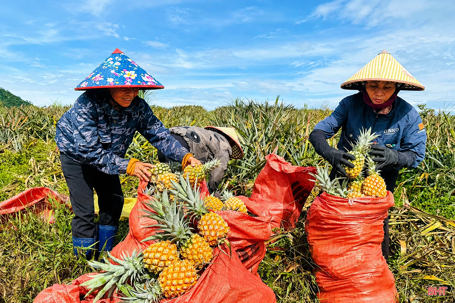 Phát huy vai trò cộng đồng trong bảo đảm an toàn thực phẩm