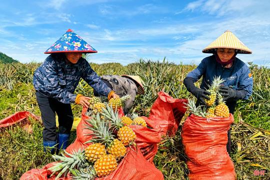 Phát huy vai trò cộng đồng trong bảo đảm an toàn thực phẩm 