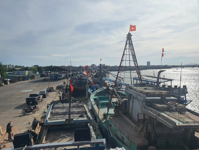 Triển khai VNeID để quản lý đội tàu, quyết gỡ thẻ vàng