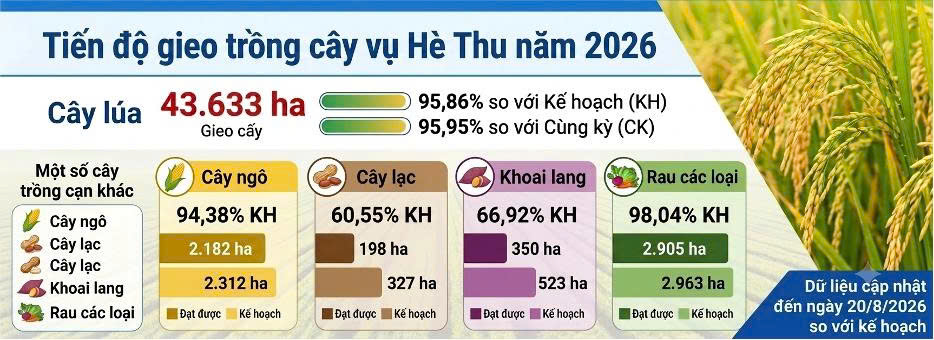 Tình hình kinh tế - xã hội tháng Tám và 8 tháng năm 2026 trên địa bàn tỉnh Hà Tĩnh