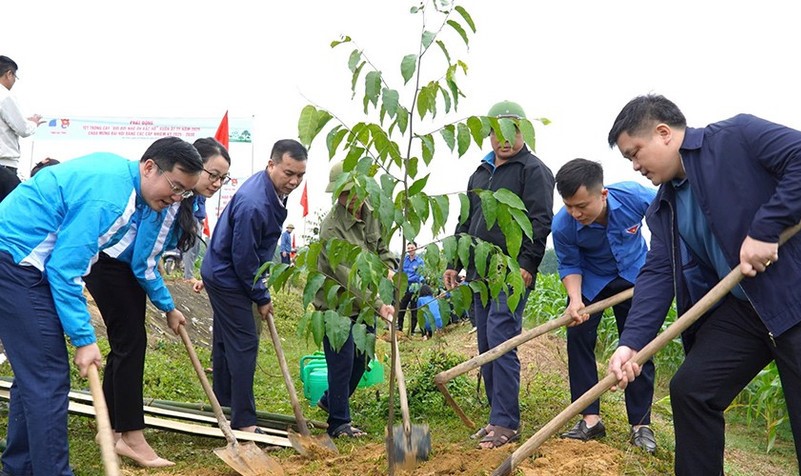 Nhiều hoạt động Tháng Thanh niên 2026 gắn với Tết trồng cây và Chương trình “Tháng Ba biên giới” do Trung ương Đoàn TNCS Hồ Chí Minh tổ chức sẽ được tổ chức tại Hà Tĩnh