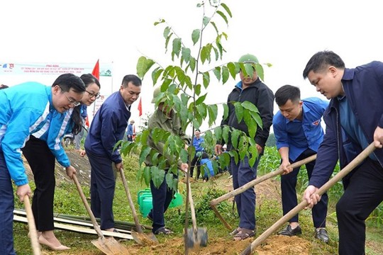 Nhiều hoạt động Tháng Thanh niên 2026 gắn với Tết trồng cây và Chương trình “Tháng Ba biên giới” do Trung ương Đoàn TNCS Hồ Chí Minh tổ chức sẽ được tổ chức tại Hà Tĩnh